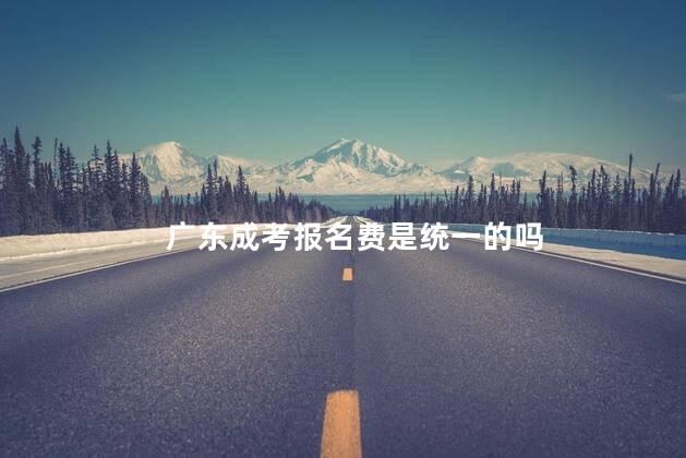 广东成考报名费是统一的吗