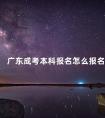 广东成考本科报名怎么报名
