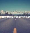 成人大专学校都学什么专业
