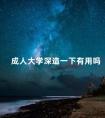 成人大学深造一下有用吗