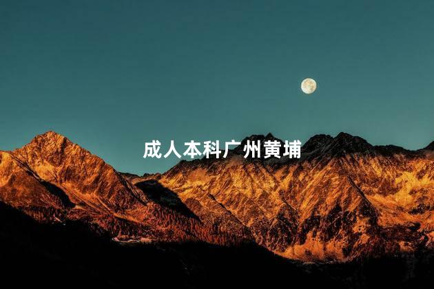 成人本科广州黄埔
