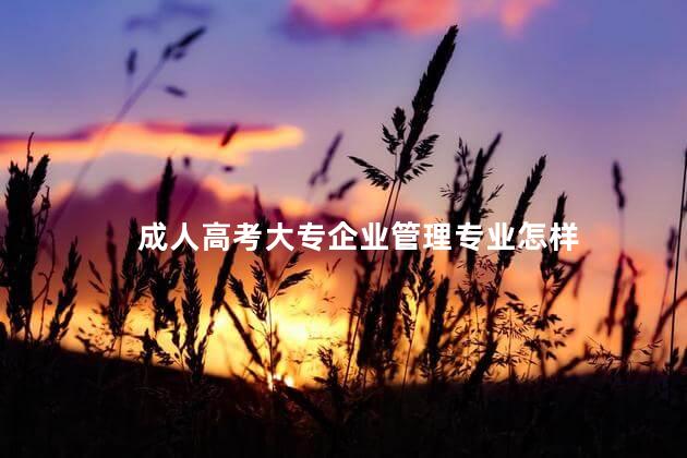 成人高考大专企业管理专业怎样
