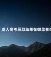 成人高考录取结果在哪里查询