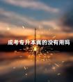 成考专升本真的没有用吗