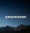 成考培训机构有用吗