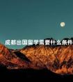 成都出国留学需要什么条件