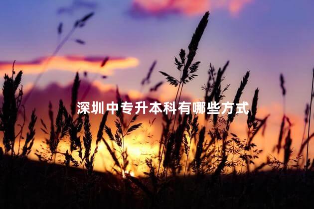 深圳中专升本科有哪些方式