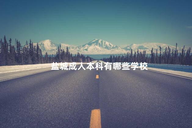 盐城成人本科有哪些学校