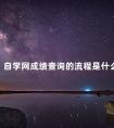 自学网成绩查询的流程是什么