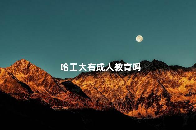 哈工大有成人教育吗