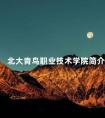 北大青鸟职业技术学院简介
