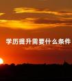 学历提升需要什么条件