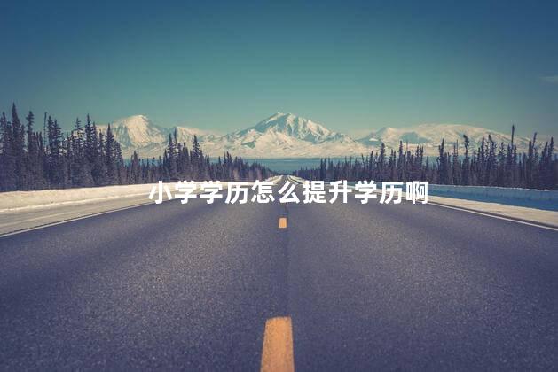 小学学历怎么提升学历啊