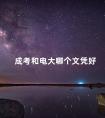 成考和电大哪个文凭好