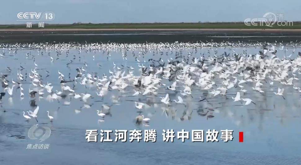 看江河奔腾 讲中国故事
