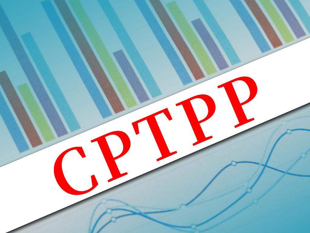 CPTPP举行会议 讨论英国加入标准