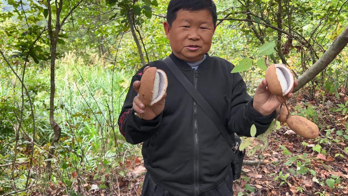 三农明星“鄂东老男孩”的励志人生