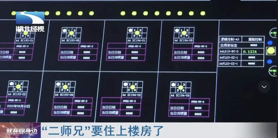 湖北26层养猪大楼正式投产
