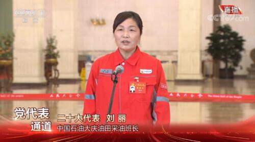 刘丽代表回应大庆还有多少油