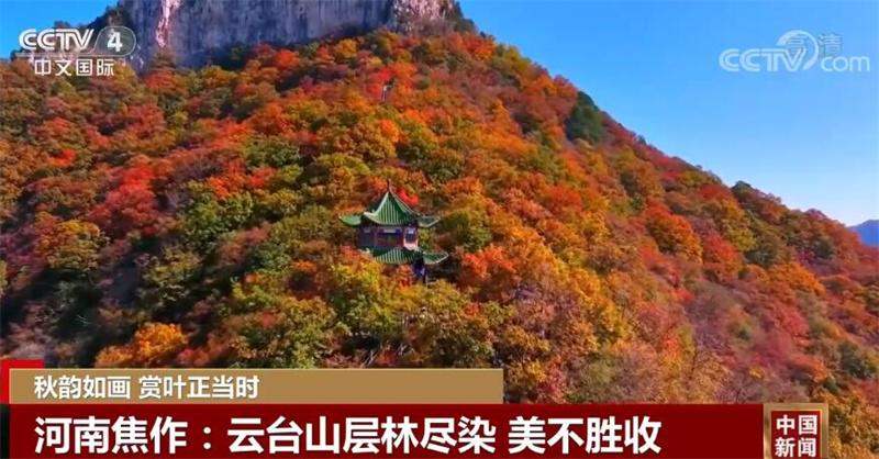 多地秋景美不胜收