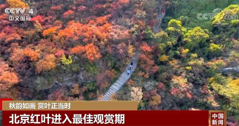 多地秋景美不胜收