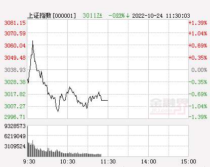 午评：沪指跌0.89%退守3000点