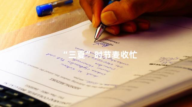 “三夏”时节麦收忙