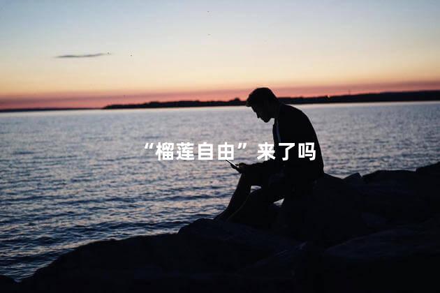 “榴莲自由”来了吗
