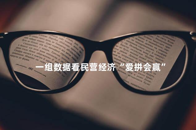一组数据看民营经济“爱拼会赢”