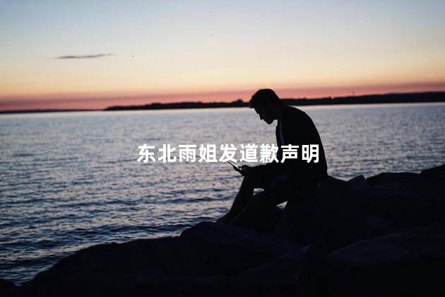 东北雨姐发道歉声明