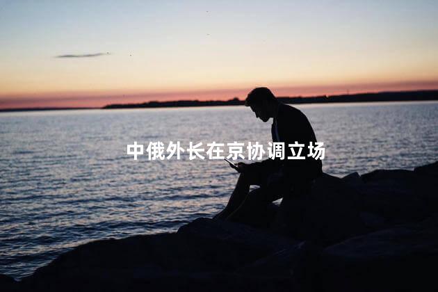 中俄外长在京协调立场