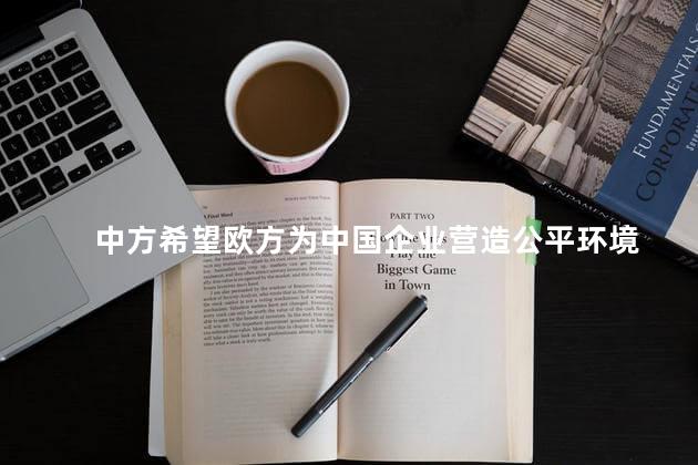 中方希望欧方为中国企业营造公平环境