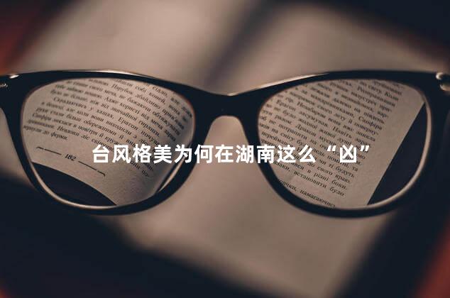 台风格美为何在湖南这么“凶”