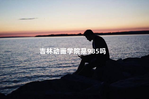 吉林动画学院是985吗