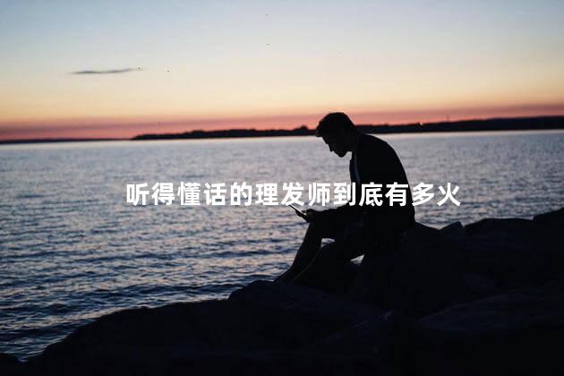 听得懂话的理发师到底有多火