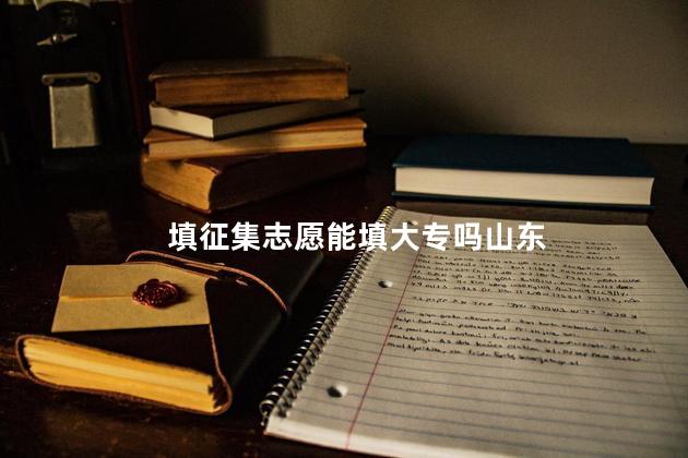 填征集志愿能填大专吗山东