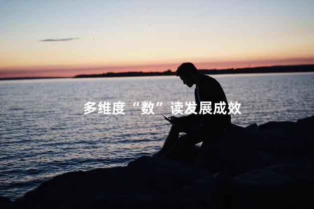 多维度“数”读发展成效