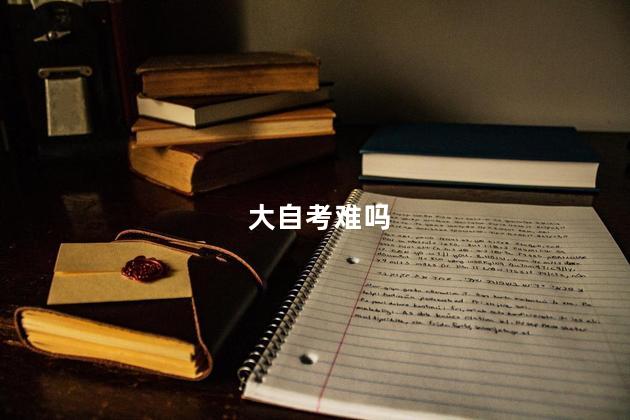 大自考难吗