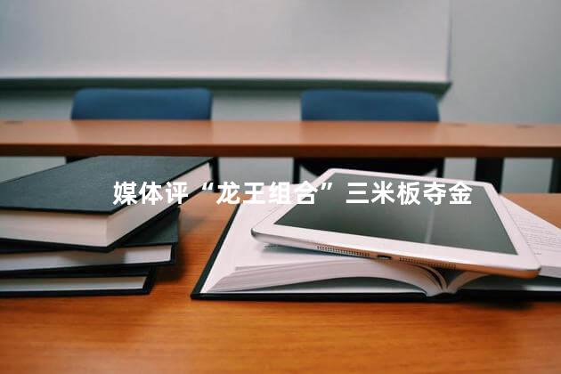 媒体评“龙王组合”三米板夺金