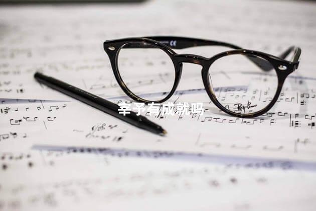 宰予有成就吗