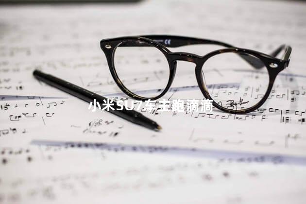小米SU7车主跑滴滴