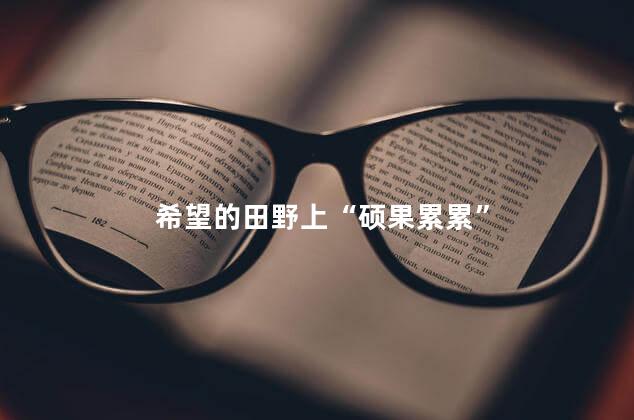 希望的田野上“硕果累累”