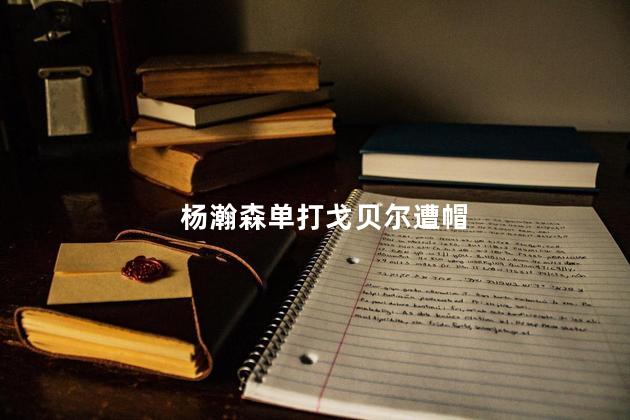 杨瀚森单打戈贝尔遭帽