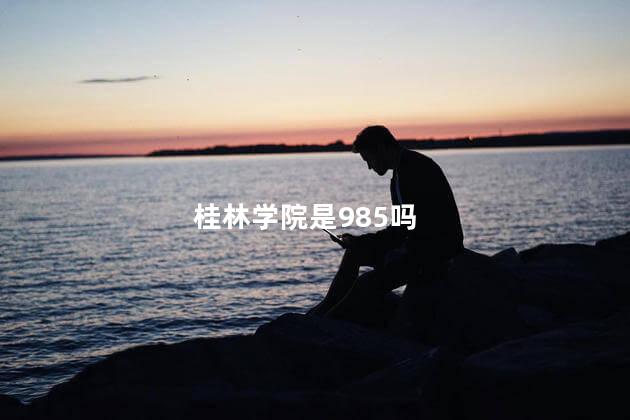 桂林学院是985吗