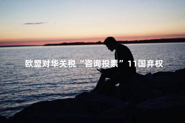 欧盟对华关税“咨询投票”11国弃权