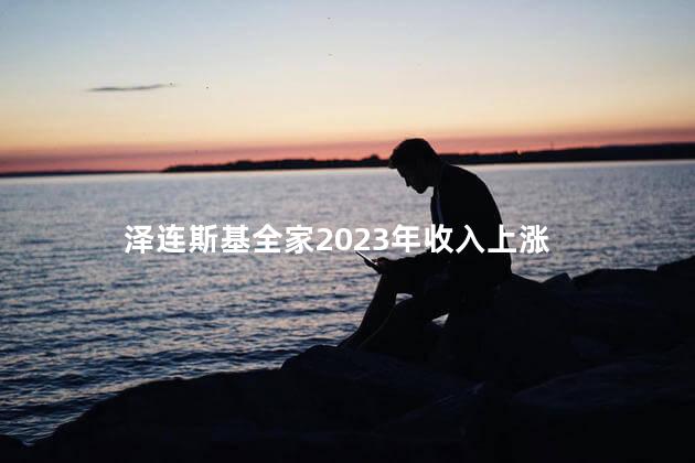 泽连斯基全家2023年收入上涨