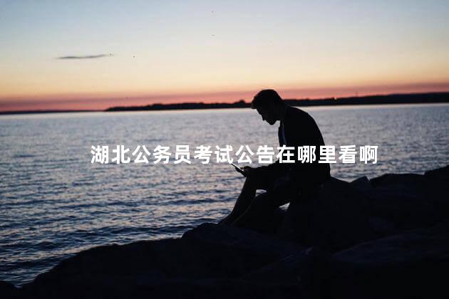 湖北公务员考试公告在哪里看啊，湖北公务员考试公告在哪里看到