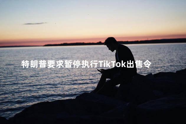 特朗普要求暂停执行TikTok出售令