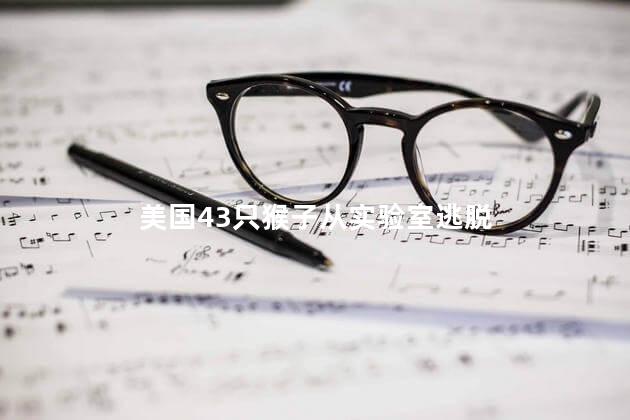 美国43只猴子从实验室逃脱