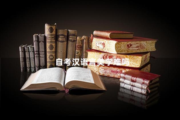 自考汉语言美学难吗